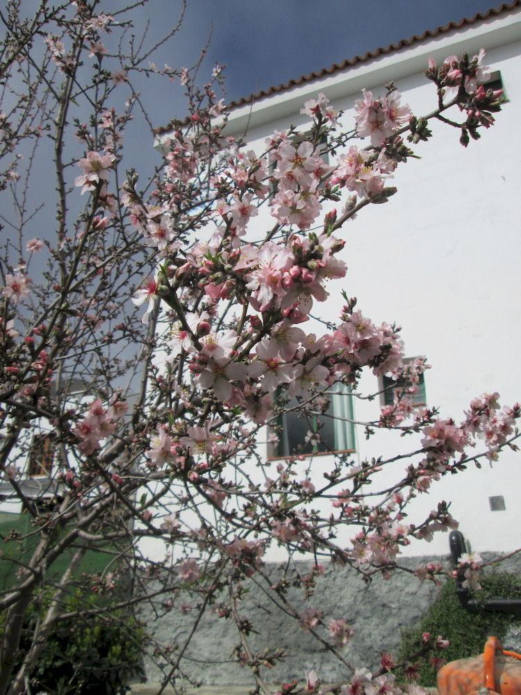 La Palma Hostel By Pension Central Fuencaliente de la Palma Zewnętrze zdjęcie